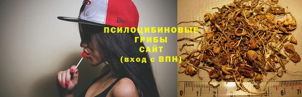 MDMA Premium VHQ Магадан