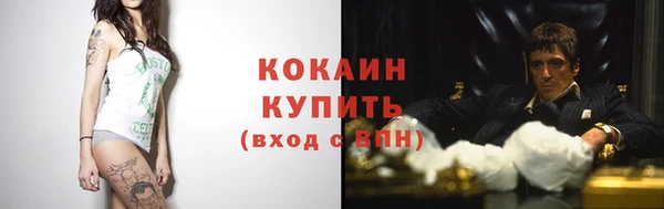 мдпв Майский
