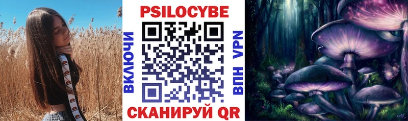 Галлюциногенные грибы GOLDEN TEACHER наркошоп нарко площадка Telegram Дубна