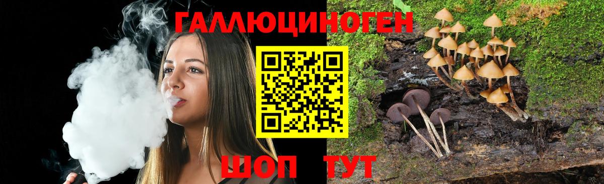 Псилоцибиновые грибы ЛСД Дубна